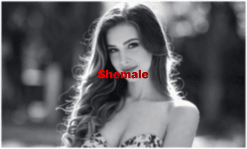 Shemale- & Trans-Pornos: Der komplette Guide für Zuschauer